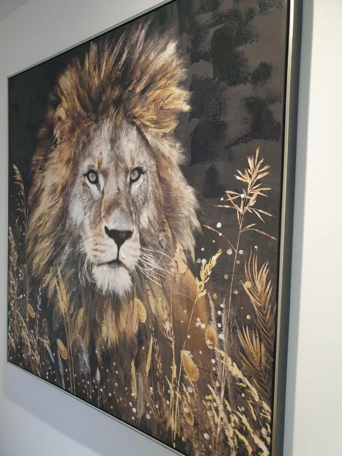 شقة Le Jungle بامييه المظهر الخارجي الصورة
